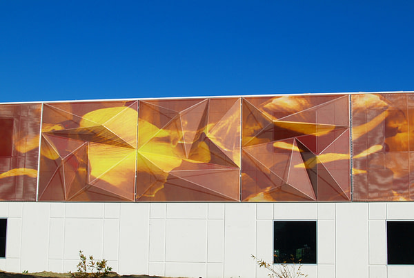 Customized Versus Modular: Which Type of Tensile Fabric Facade Is Right